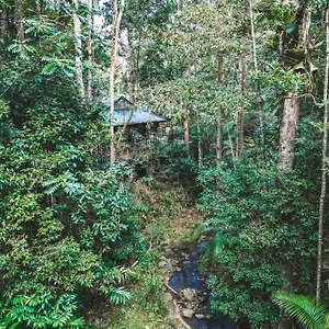 https://narrows-escape-rainforest-retreat.queenslandhotels.net